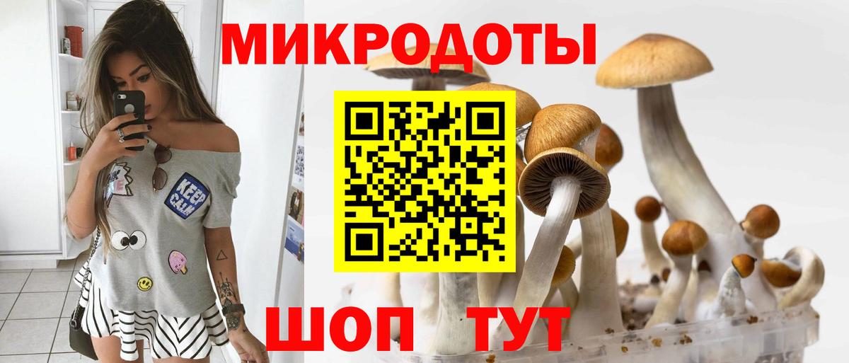 Псилоцибиновые грибы мицелий Дубна